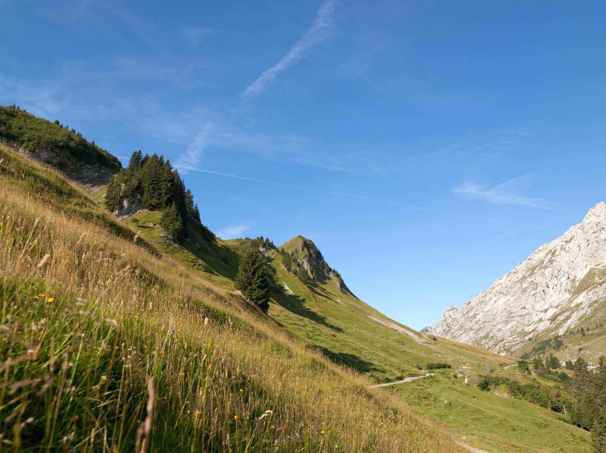 Mgm Hotels & Residences - Residence Chalets De Joy Le Grand-Bornand Εξωτερικό φωτογραφία
